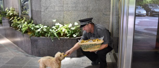 A doorman at The Rittenhouse hotel hands a dog treat to a small dog.