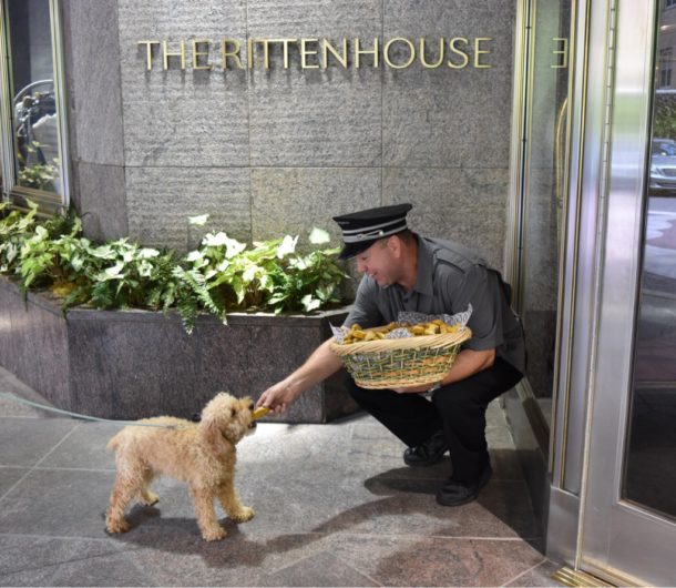 A doorman at The Rittenhouse hotel hands a dog treat to a small dog.
